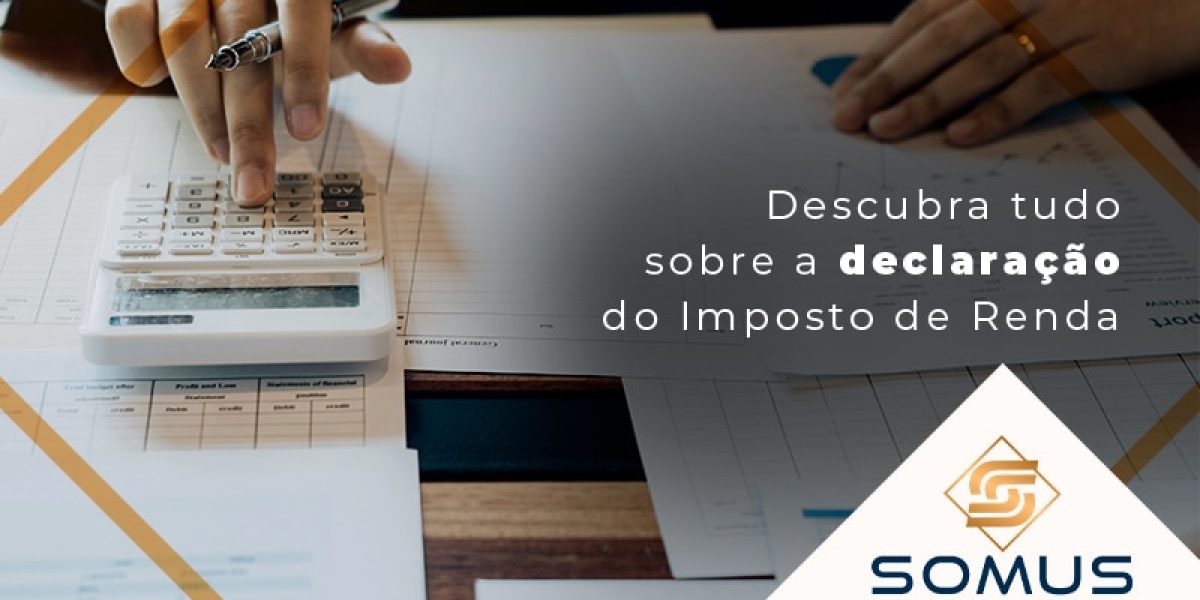 Descubra Tudo Sobre A Declaracao Do Imposto De Renda Blog - Contabilidade em Brasília