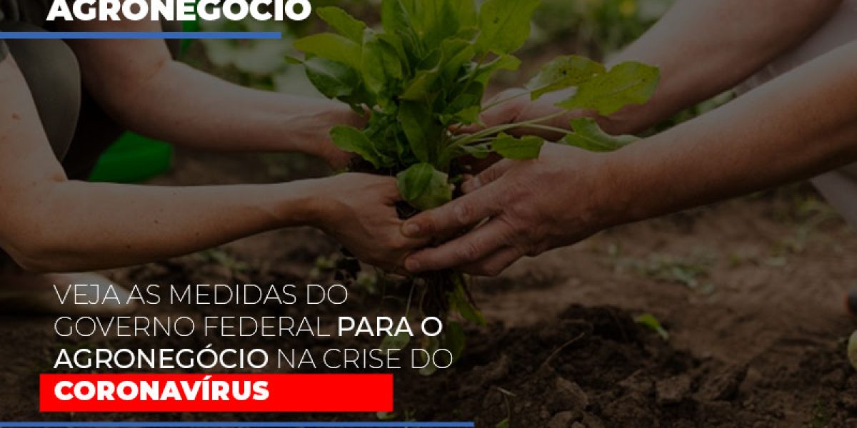 Veja As Medidas Do Governo Federal Para O Agronegocio Na Crise Do Coronavirus Contabilidade Em Brasília - Contabilidade em Brasília