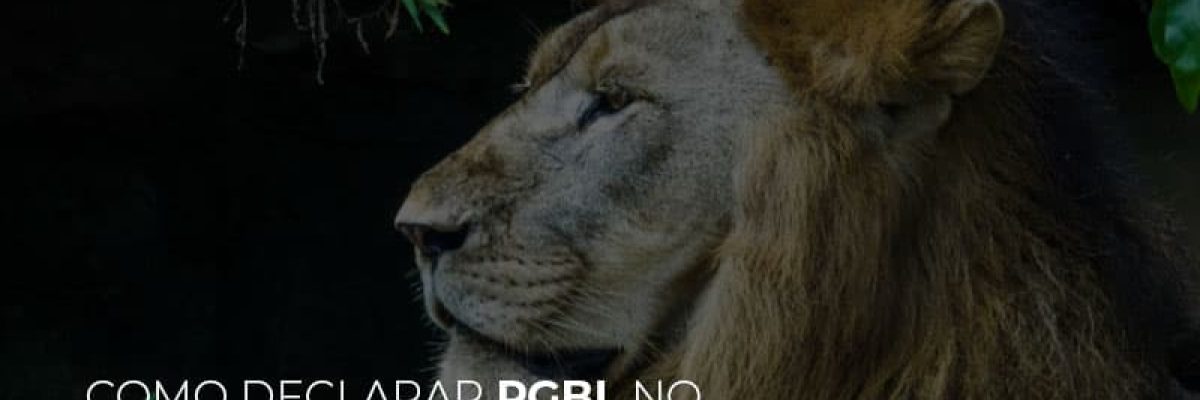 Ir2020:como Declarar Pgbl No Imposto De Renda Contabilidade Em Brasília - Contabilidade em Brasília