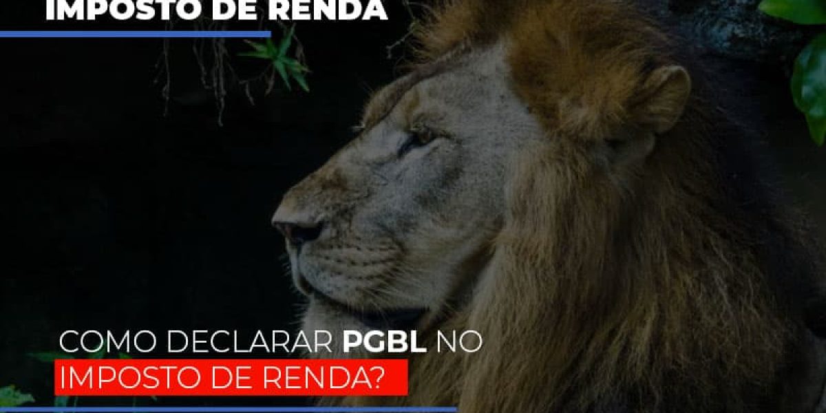 Ir2020:como Declarar Pgbl No Imposto De Renda Contabilidade Em Brasília - Contabilidade em Brasília