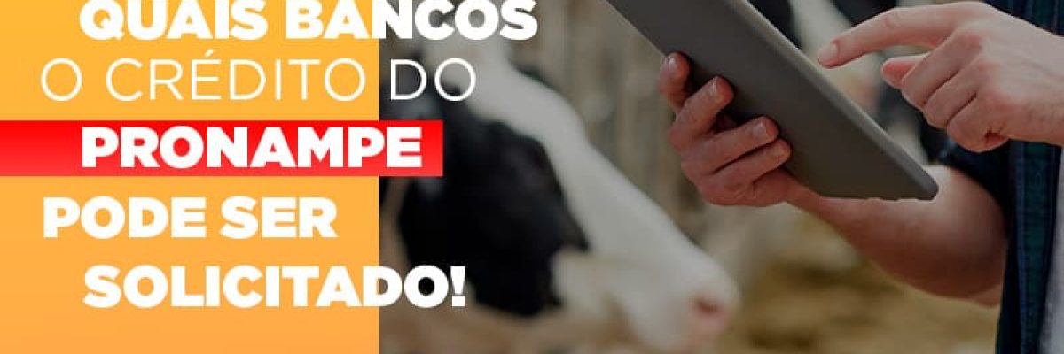 Confira Em Quais Bancos O Credito Pronampe Ja Pode Ser Solicitado Contabilidade Em Brasília - Contabilidade em Brasília