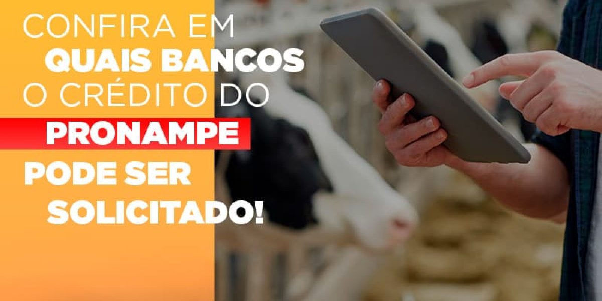Confira Em Quais Bancos O Credito Pronampe Ja Pode Ser Solicitado Contabilidade Em Brasília - Contabilidade em Brasília