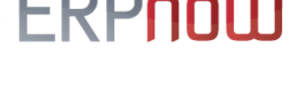 Erp Logotipo2 Contabilidade Em Brasília - Contabilidade em Brasília