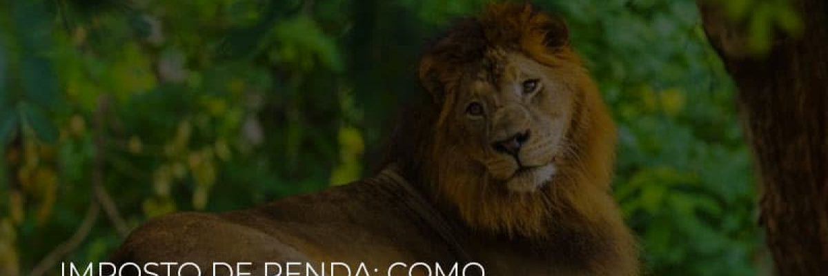 Imposto De Renda Como Solicitar Isencao Do Ir 2020 Contabilidade Em Brasília - Contabilidade em Brasília